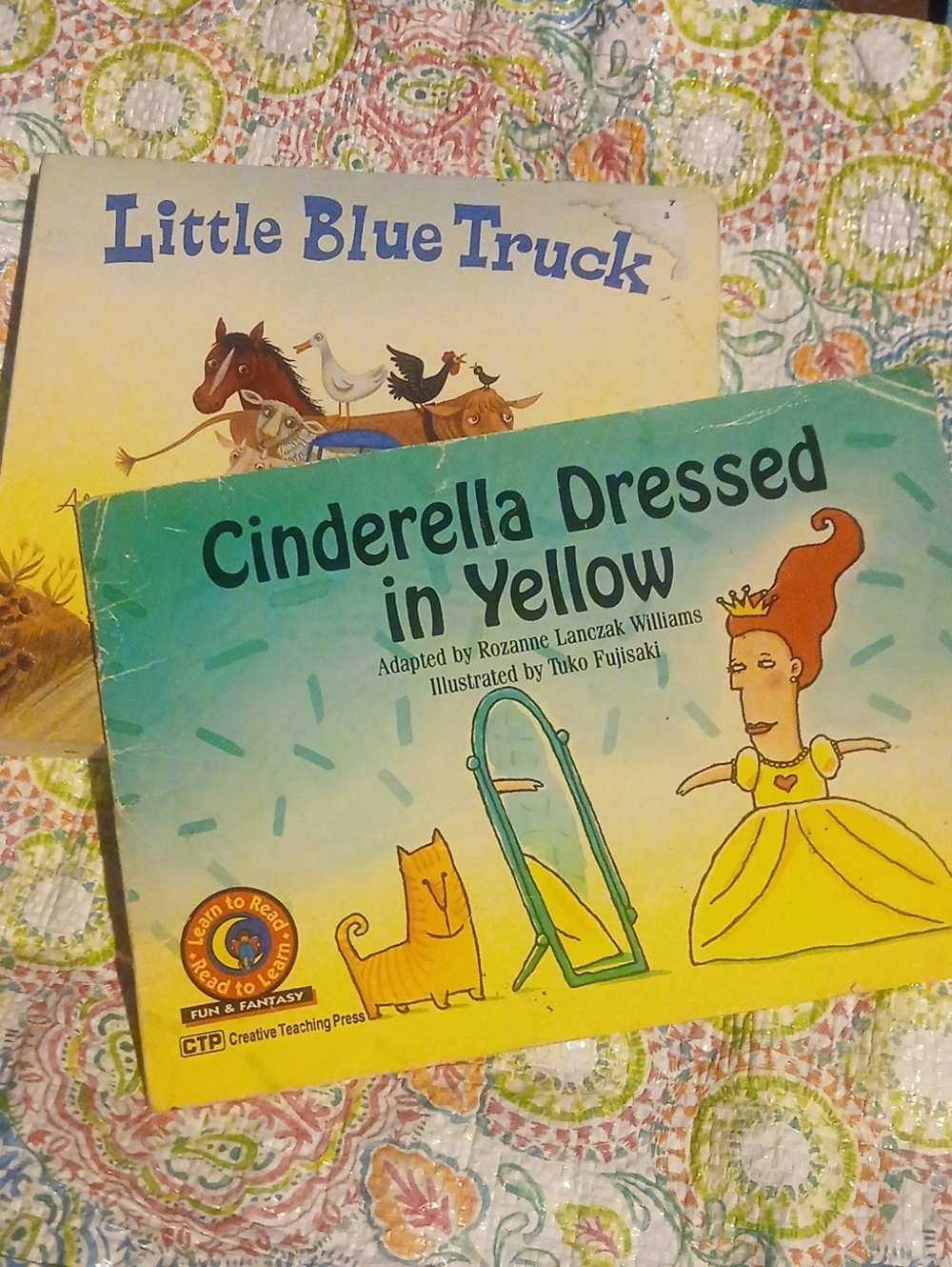 Mix Books Of 2 As Is... Kids Picture Book